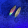 Dozer - D037.001-OS - Prism Tail